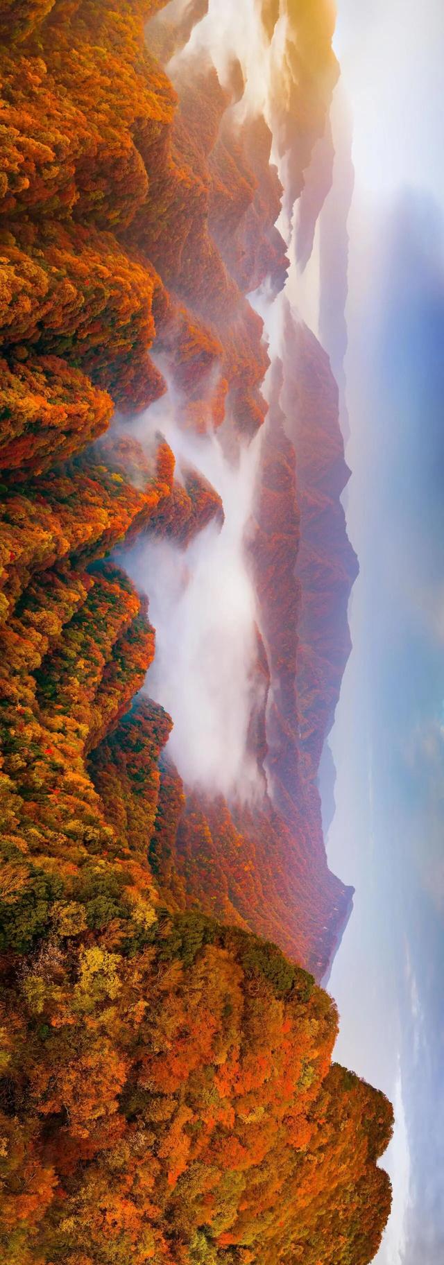 秋天旅行清单，光雾山必须有姓名！