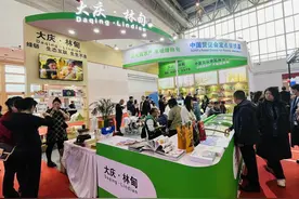 大庆·林甸：绿色食品“链”上招商图片