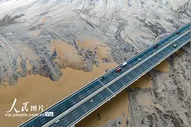 浙江海宁：钱塘江退潮后现“潮汐树”景观图片