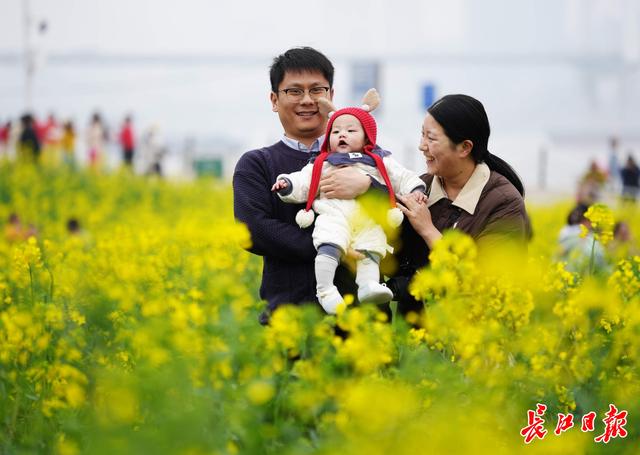 “三八”国际妇女节，灯塔花海游人如织