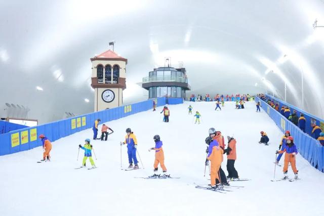 这些票根存下来，在龙华能当钱用