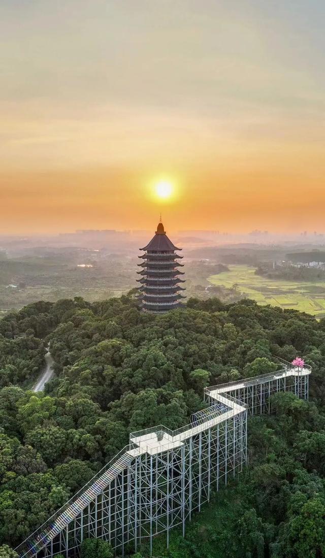 爆汁预警！廉江红橙限定版采摘路线→