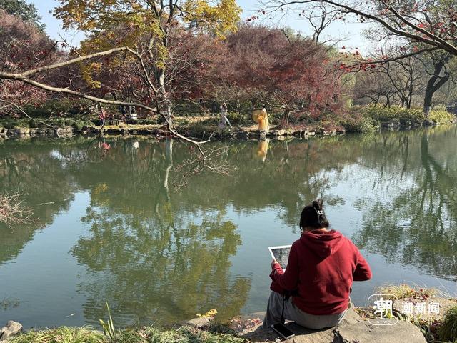 枫景这边正好，西湖的浪漫刷屏了