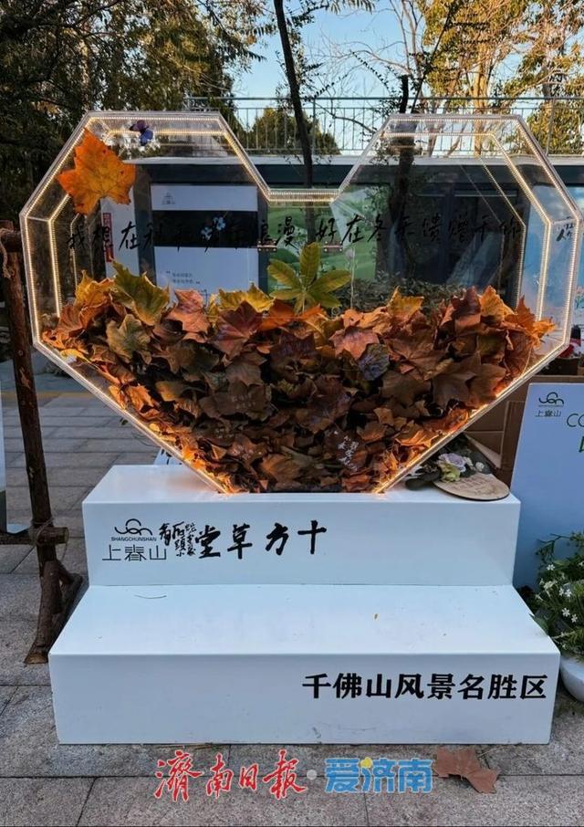 邂逅落叶的浪漫！公园景区解锁秋冬限定景色 | 一年四季 泉在济南