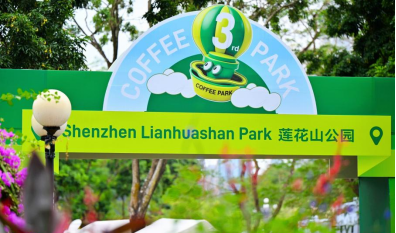 山海连城，花满全城——2025深圳簕杜鹃赏花周正式启幕