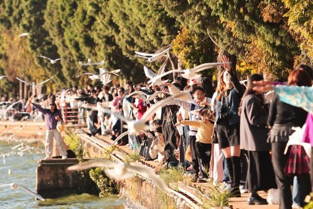 冬日限定版浪漫！昆明的天空，正在单曲循环这首“圆舞曲”——有一种叫云南的生活之365天