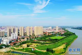 聚焦高质量发展丨武汉蔡甸：做精招商大文章 知音故里觅“知音”图片