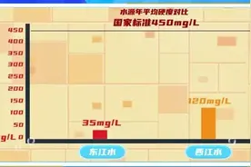 烧水有“白色漂浮物”？水务专家来解惑图片