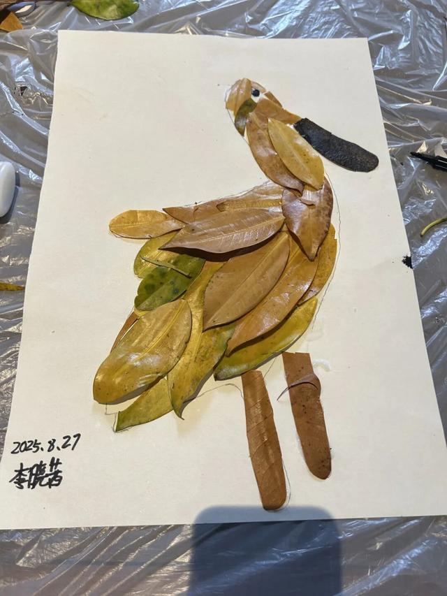 东寨港红树林研学进行时，自然课堂里的欢乐时光～