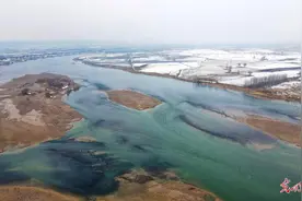 黄河湿地 别样冬韵图片