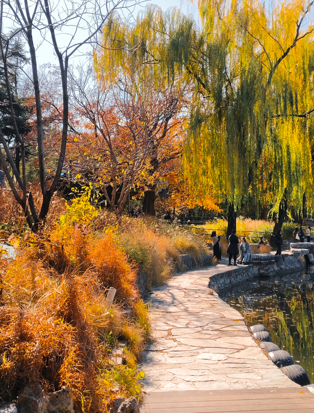 太美了！漫步南长河，邂逅满途风光
