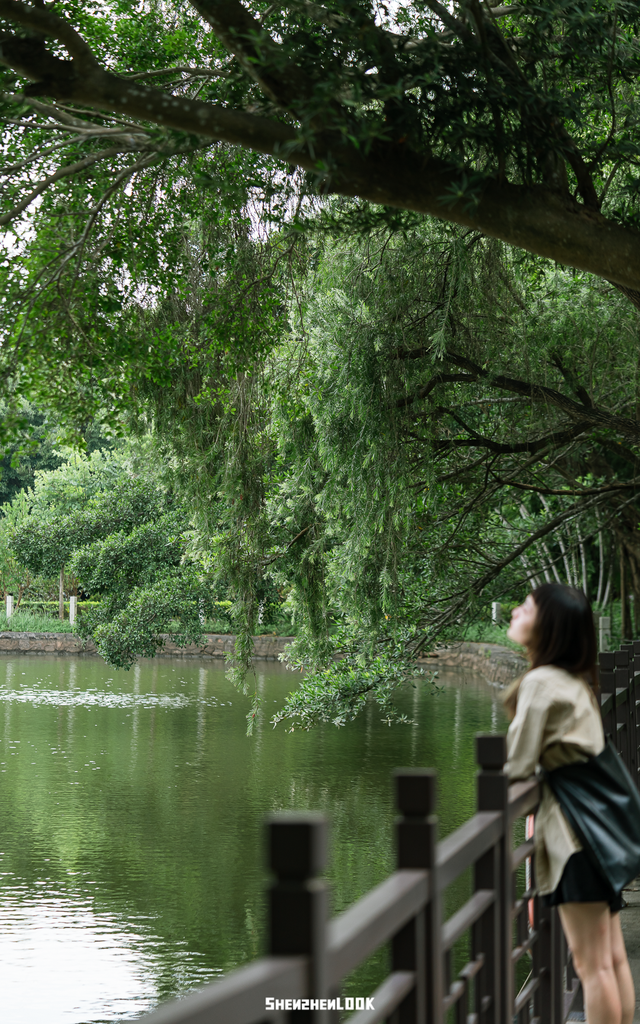 “看牛看海看夜景，深圳骑行路线精选”
