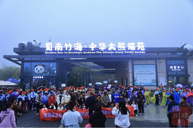 引爆研学热！宜宾首个秋假文旅成绩单来了