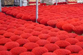 贸促企谈｜湖南金宝来香业：传统+创新 走出新“香”路图片