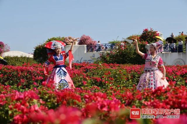 全国暖冬城市TOP3 ！南宁邀您共赴康养旅居之旅