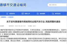 多地预警“慎入”网约车市场：司机3年增长166.8%，远超用户增长速度图片