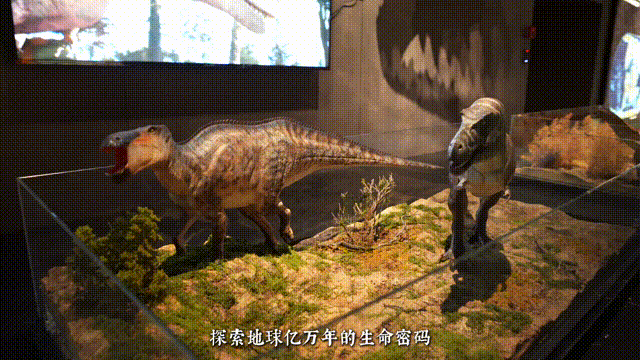 周末去哪玩？南宁这几个宝藏文化场馆，快去打卡吧！