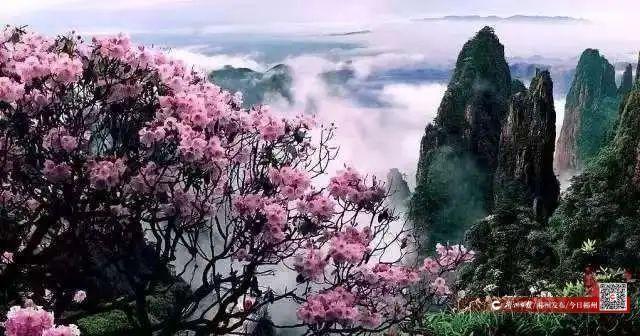 我们的节日·七夕丨有戏！大作家与莽山约会