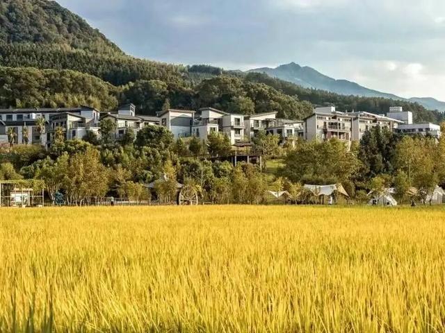双节嗨翻闽清！文旅活动大集合来啦