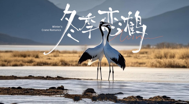 “旅居云南·心之所往”主题动漫即将上线