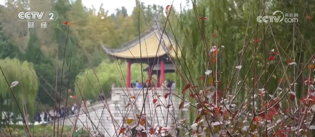 “斑斓秋色+新潮玩法”点燃赏秋游新热力 文旅新消费活力十足