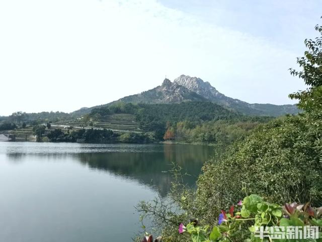 赏叶、看水、听鸟鸣……来青岛浮山森林公园，满足所有对秋天的想象