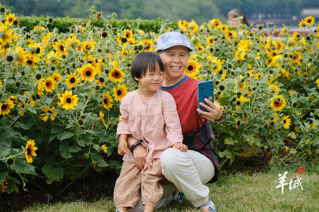 秋明拍花｜名副其实的“花城”：人在画中游，笑从花畔生