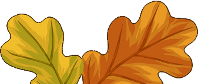 滴！重阳暖心免票福利→这张秋日『头等舱』车票请签收！