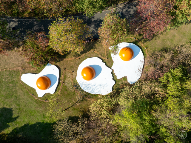 东湖「巨物」图鉴，打卡XXXXL号视觉震撼！