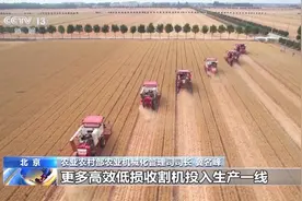 一秒“吃”进10公斤 “大喂王”成小麦机收主角图片