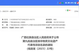 第九批广西非遗名录公布，钦州有这些……图片