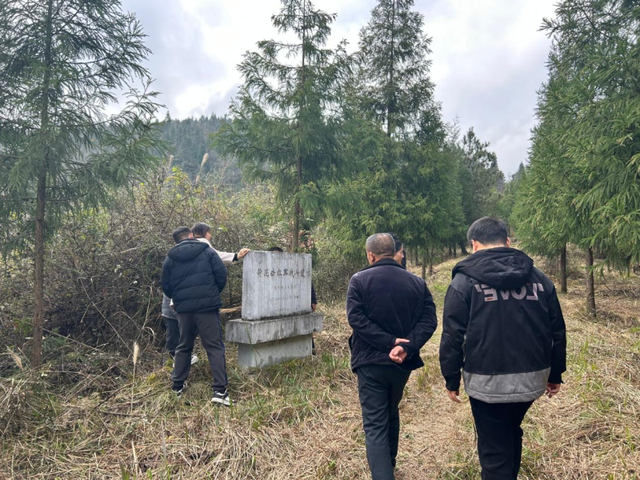 后坝村：既有红色记忆，更有绿水青山