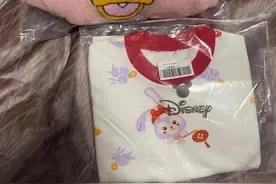 P图作假应付审核 生产销售山寨“迪士尼”童装 三人获刑并处罚金图片