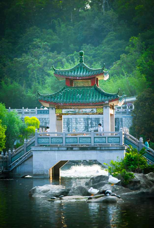 丰顺公园又要火！这个视频被疯狂刷屏