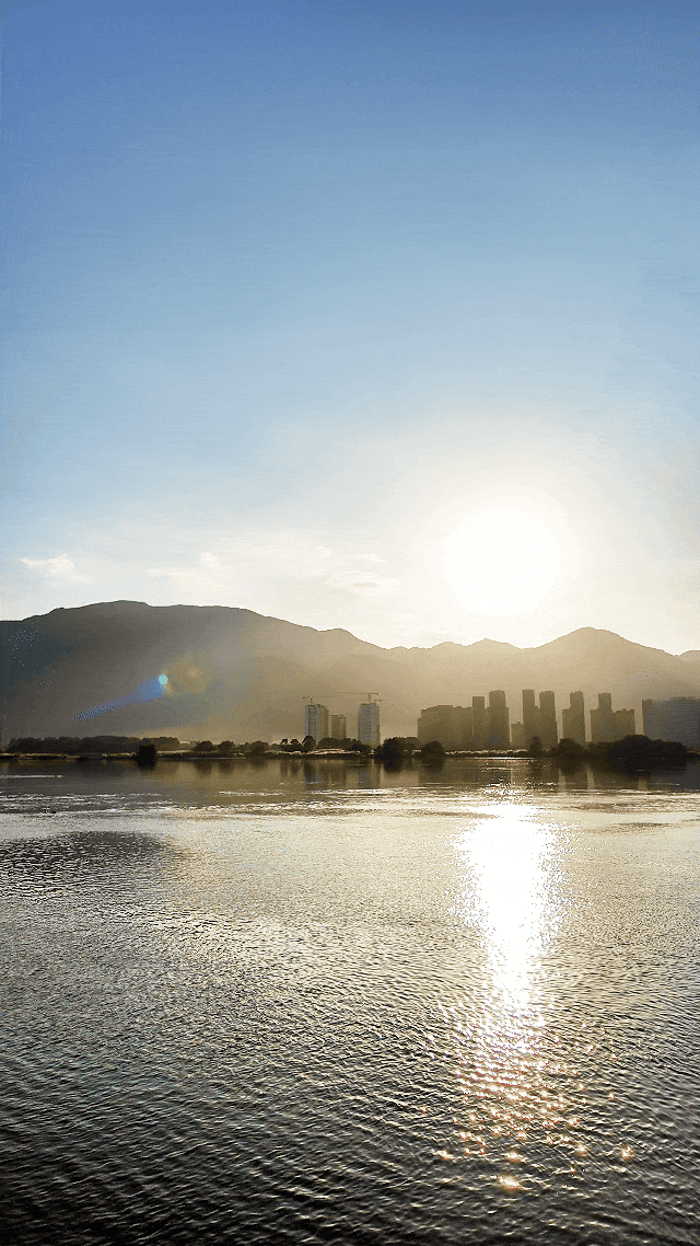 超出片！闽侯江滨这片芦苇荡美到心巴上