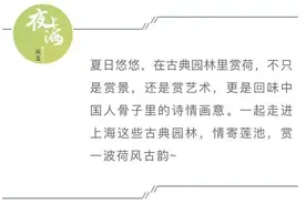 赏荷正当时，去这些园林里感受荷风悠韵~图片