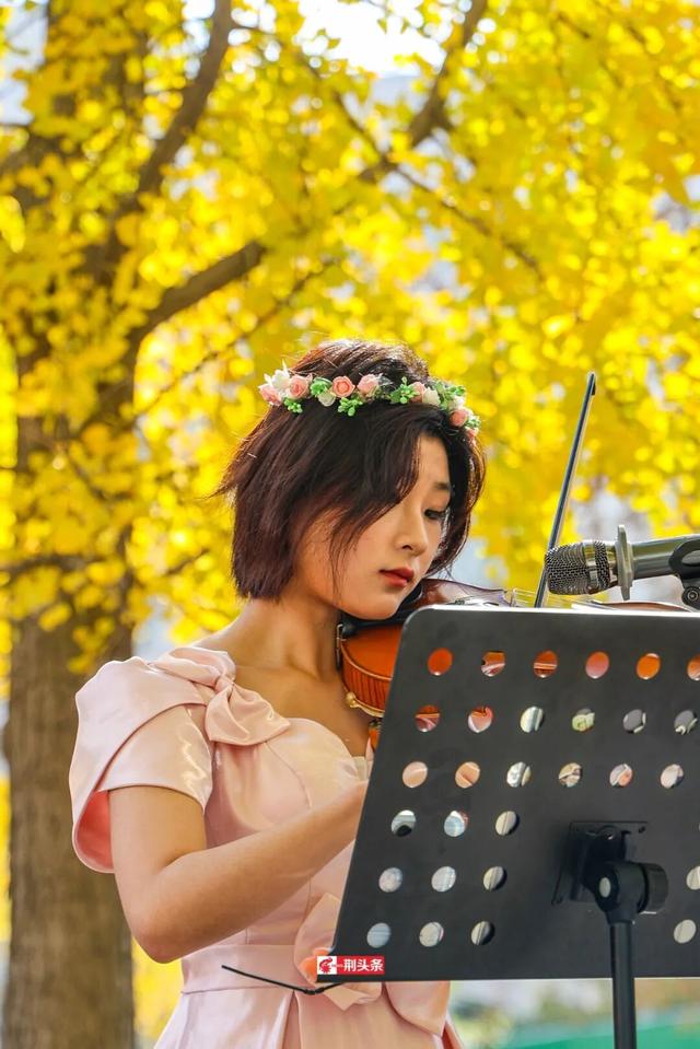 人从众！荆州这条街上“长”满了人……