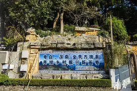 电白、茂南“组团式”帮扶助金秀“出乡入粤” 瑶乡唱响粤桂协作振兴曲图片