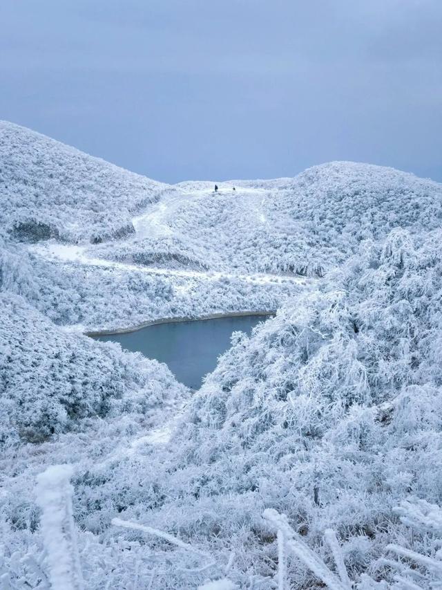 多地下雪！广西限定版“冰雪世界”已上线