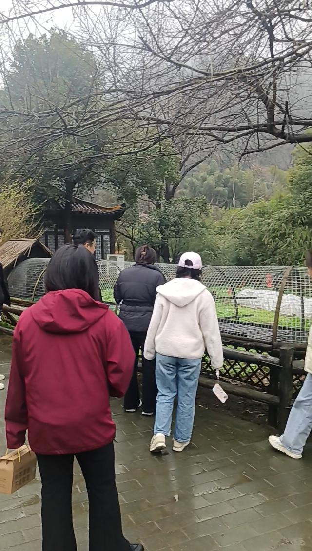 长沙一网红野爬山地发现响尾蛇？专家辨认系有毒的短尾蝮，当地提醒：不要随意登野山！