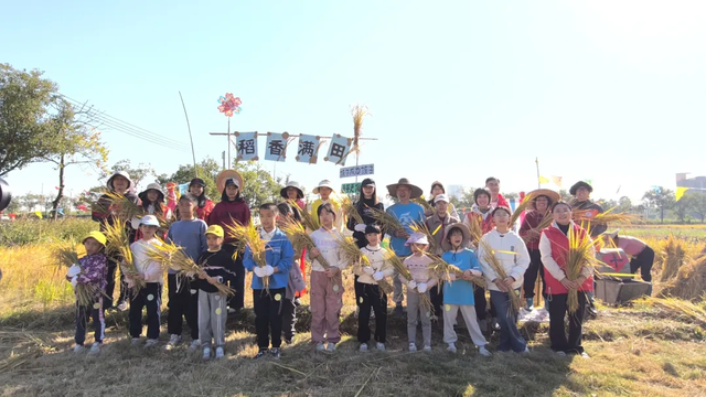 割禾体验、拾秋徒步……里水11月活动精彩瞬间→