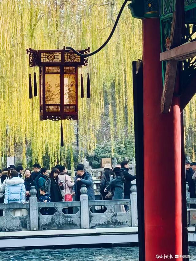 冬日趵突泉，寒风中美景依然