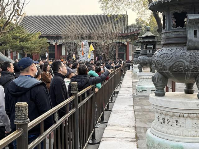 公园里的隔离带越来越多，如何阻止商拍又不影响沉浸式游览？