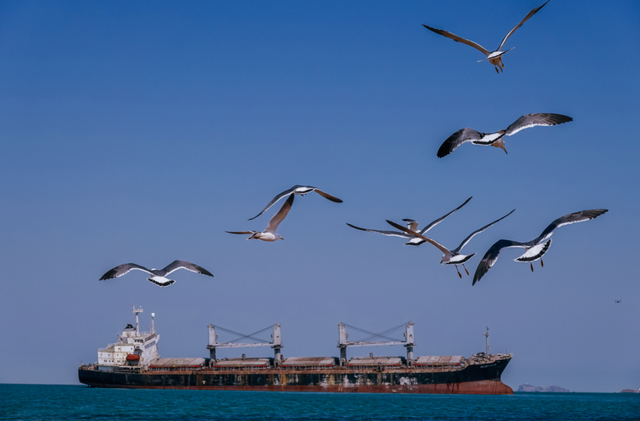 对话威海滨海皇冠假日酒店总经理张伟先生：在山海之间，雕琢有温度的旅居体验