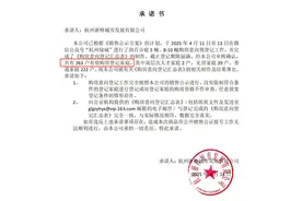 杭州购房者“盲摇”主城限价红盘，54套叠墅中签率20.5%图片