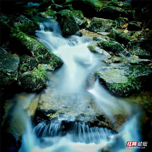 【每日一图@湖南】去炎陵县白鹇谷，听青苔与流水说情话