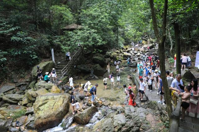 不用出远门！在星湖就能玩遍山、溪、林、岩……