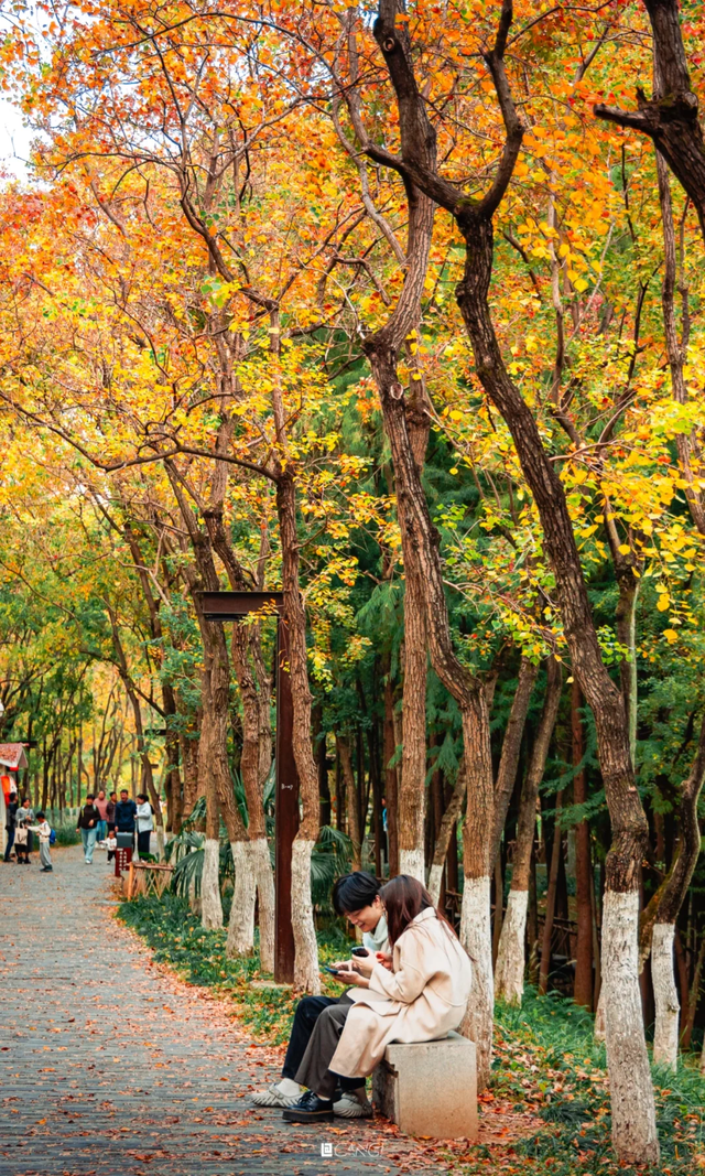速冲！到这里get明星同款秋日大片！