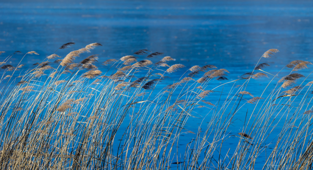 北京冬日限定“奇观”！就到月底！快冲→