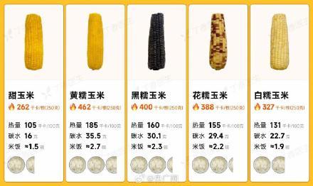 玉米是所有粗粮里最会骗人的